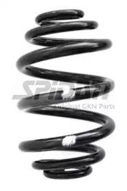 SPIDAN 86789