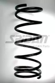 SPIDAN 55795