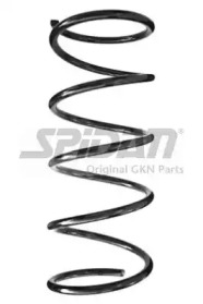 SPIDAN 56487