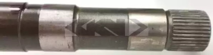 spidan 20941