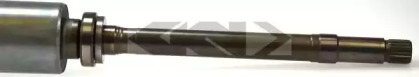 spidan 21655