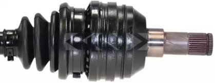 spidan 24073