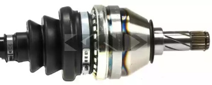 spidan 24081
