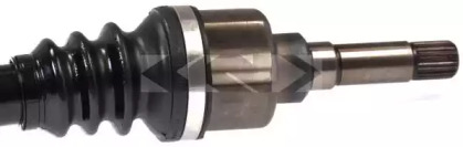 spidan 24257