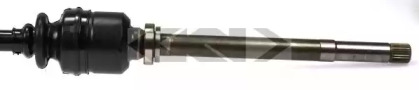 spidan 24260