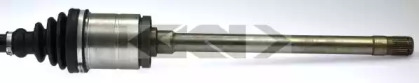 spidan 24356