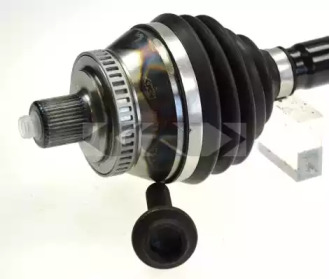spidan 24825