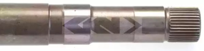 spidan 24841