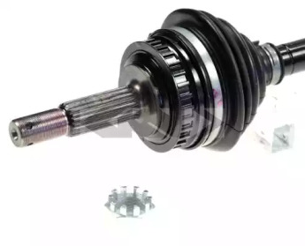 spidan 24975