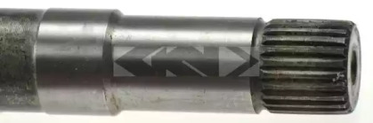 spidan 25183