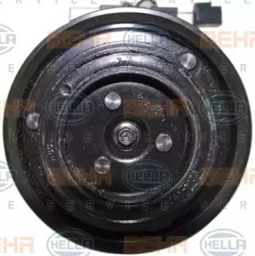 behr hella service 8fk351001251