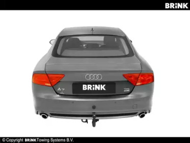 brink 589500