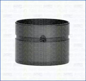 TRISCAN 8010000