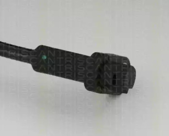 triscan 818016210