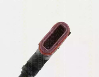 triscan 818023413