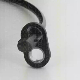 triscan 818028203