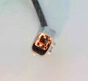 triscan 818050167