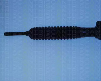 triscan 851025301