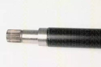 triscan 854016579