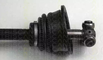 triscan 854025524