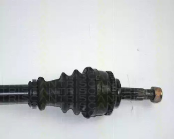 triscan 854025563