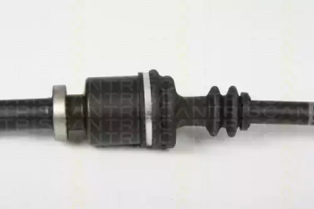 triscan 854025653