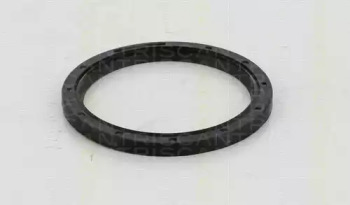 triscan 855010041