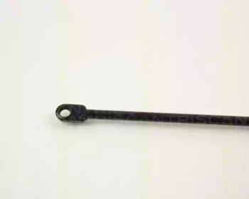 triscan 87101012