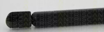 triscan 871011130