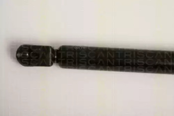 triscan 871011234