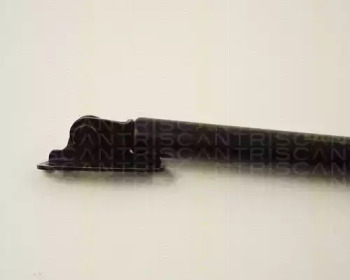 triscan 871013255
