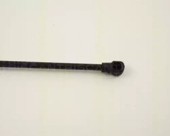triscan 871013260