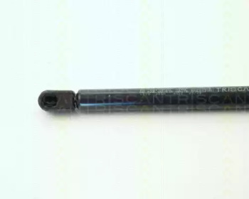 triscan 87101618