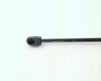 triscan 87101618