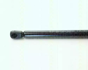 triscan 87101619