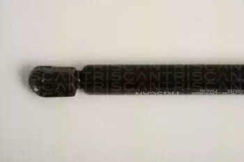 triscan 871016253
