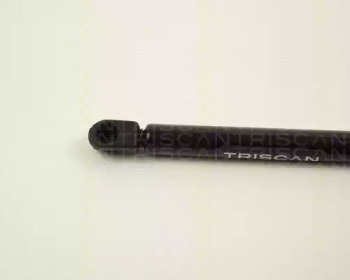 triscan 87102411