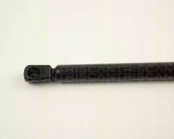 triscan 871024206