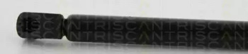 triscan 871024240