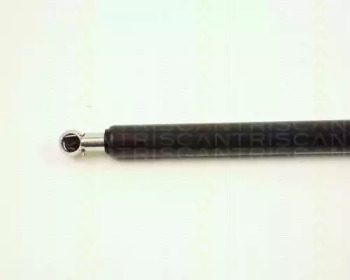 triscan 871025209