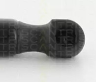 triscan 871025266