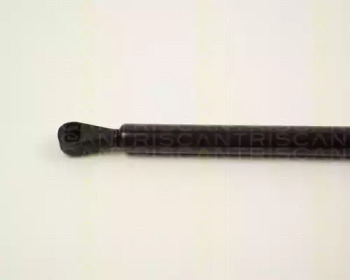 triscan 87102805