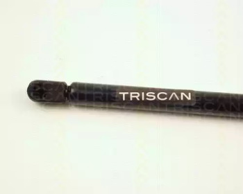 triscan 871028204