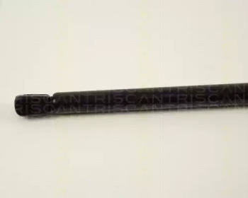 triscan 871038208