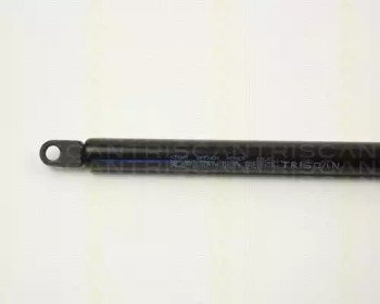 triscan 87106503