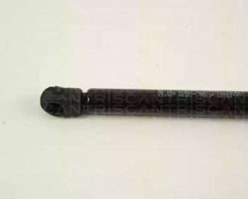 triscan 871065202