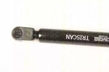 triscan 871066204
