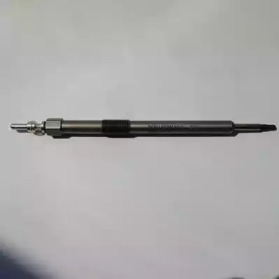 beru cgp007