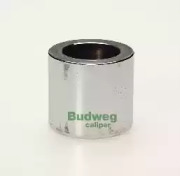 BUDWEG CALIPER 233001