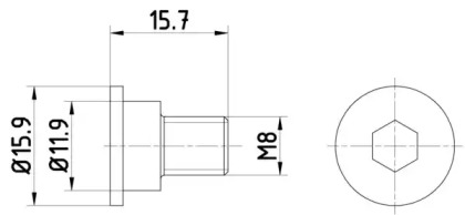 PAGID TPM0003